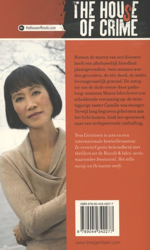 Achterkant van De zondares