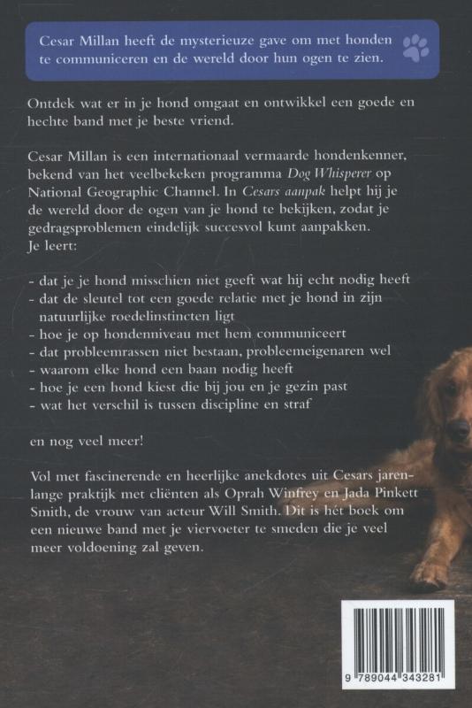 Achterkant van Cesars aanpak
