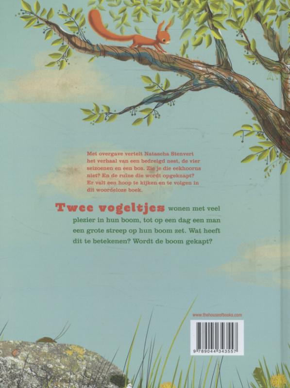 Achterkant van De streep