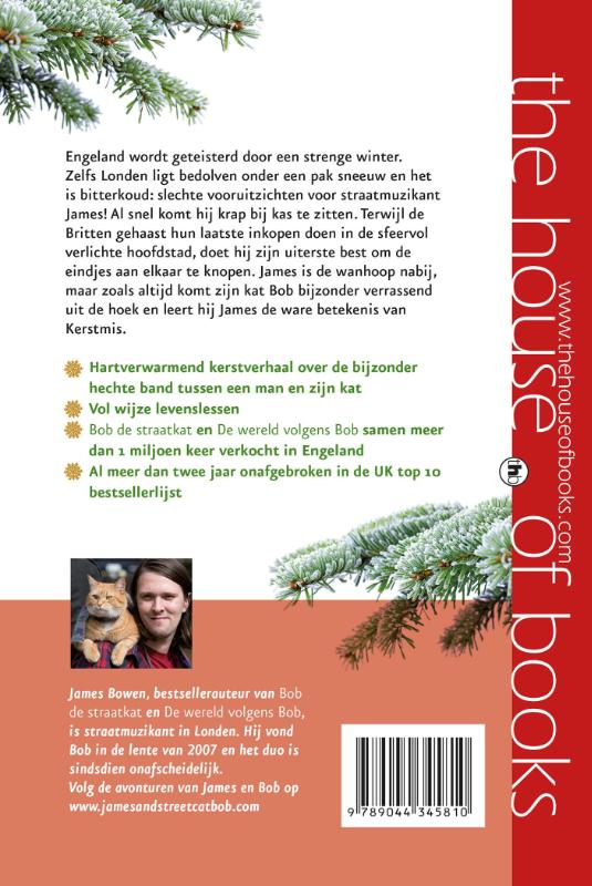 Achterkant van Het kerstfeest van Bob
