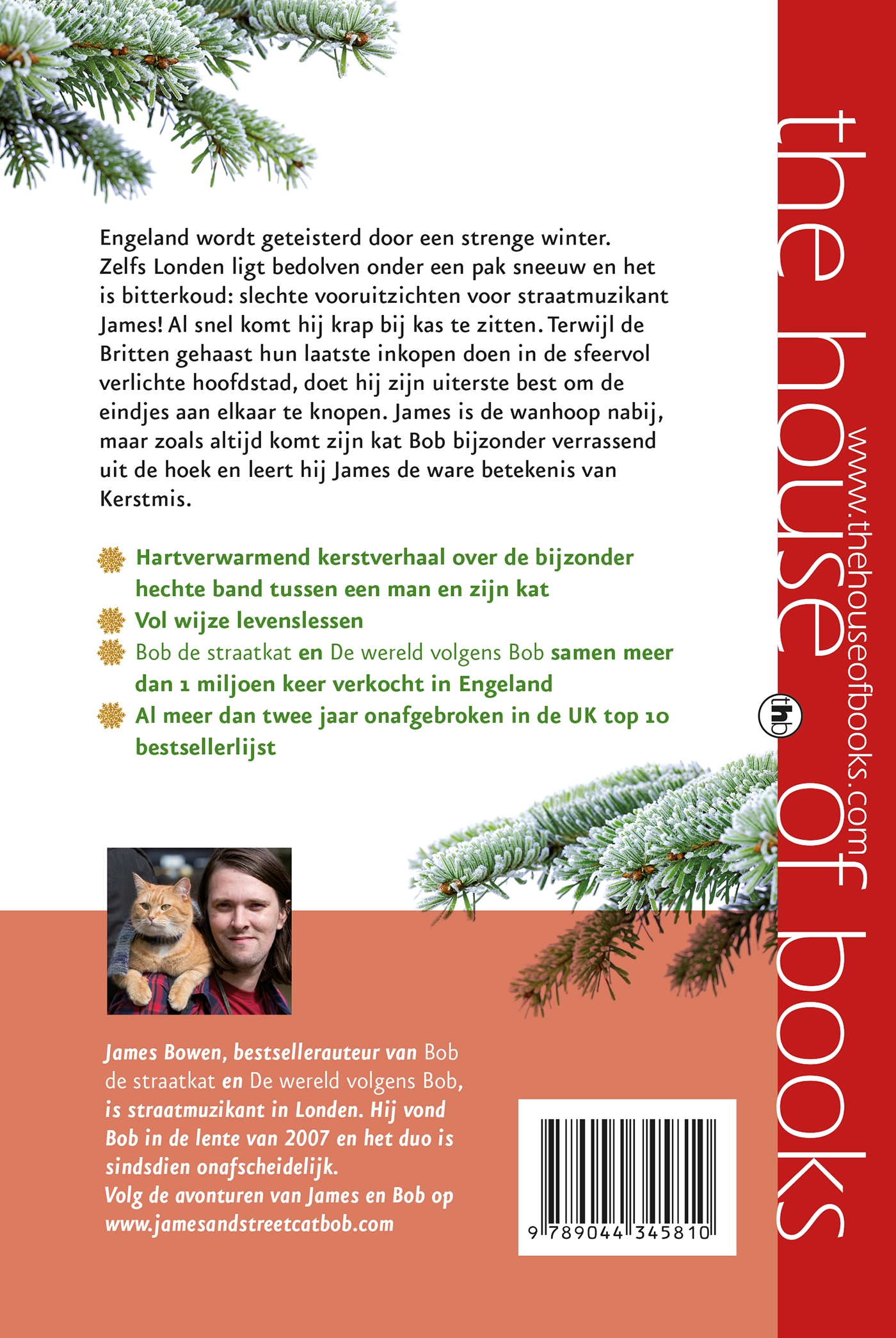 Achterkant van Het kerstfeest van Bob