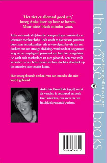 Achterkant van Het ziet er allemaal goed uit