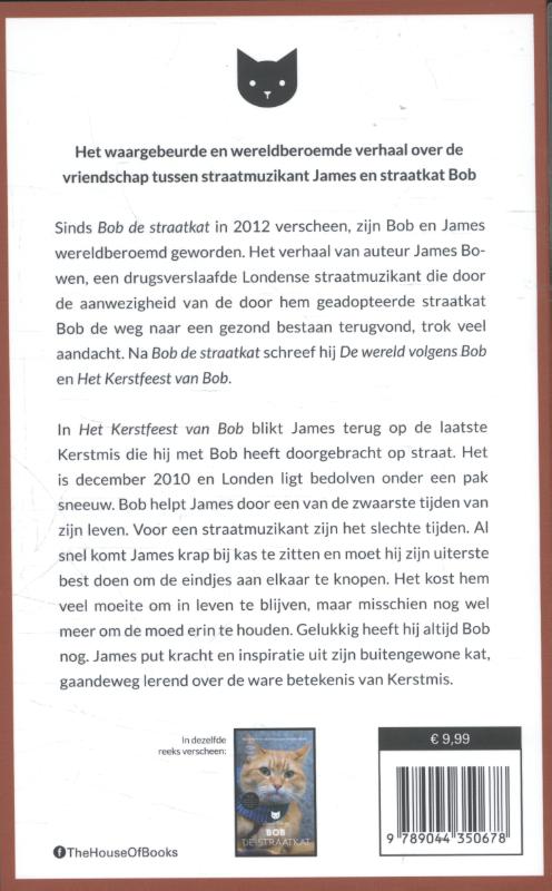 Achterkant van Het kerstfeest van Bob