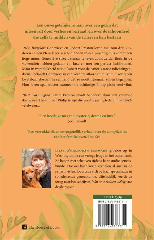 Achterkant van Wat er te redden viel