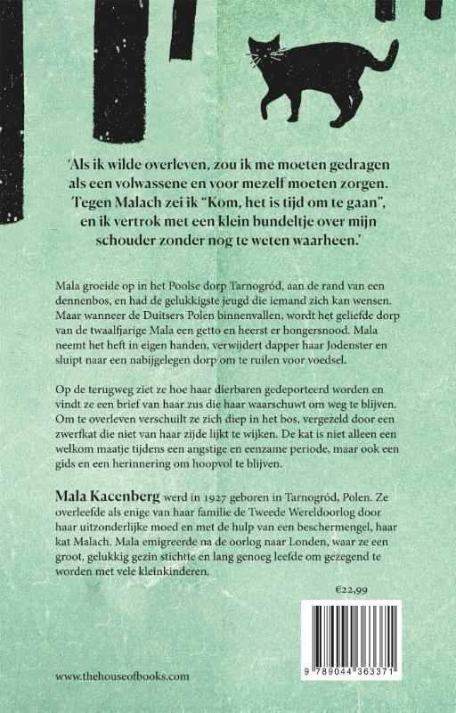 Achterkant van Het meisje, de kat en het bos