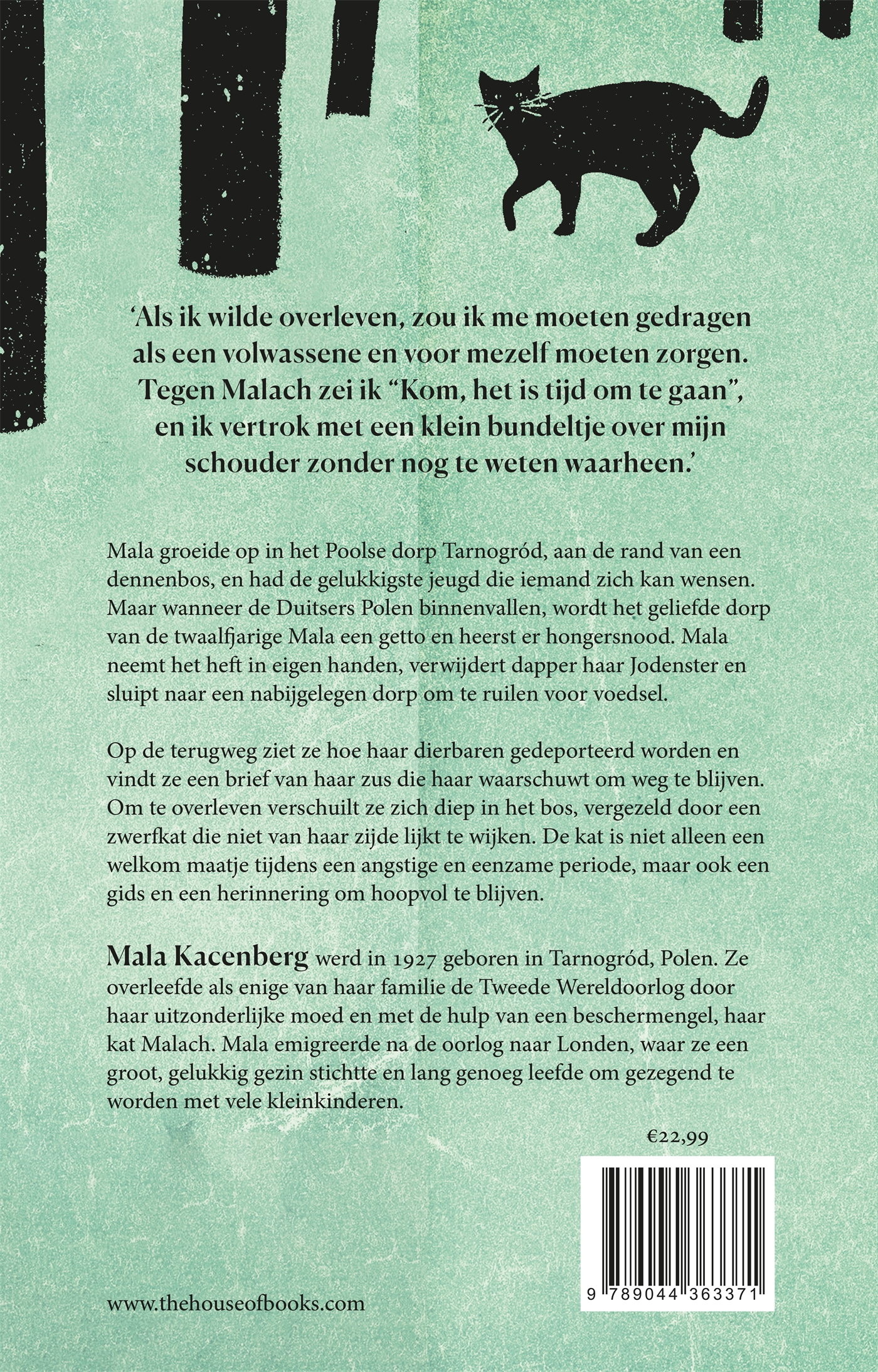 Achterkant van Het meisje, de kat en het bos