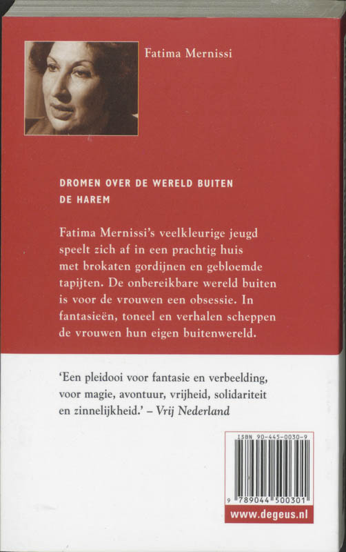 Achterkant van Het verboden dakterras