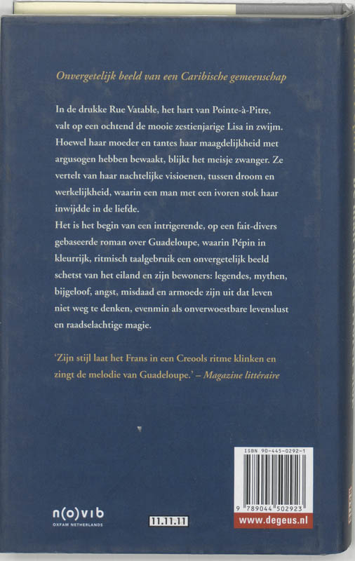 Achterkant van De man met de ivoren stok