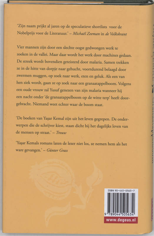 Achterkant van Granaatappelboom