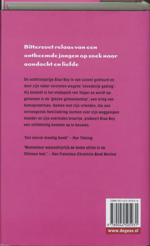 Achterkant van Jongens van glas