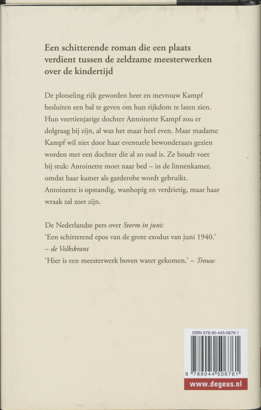Achterkant van Het Bal