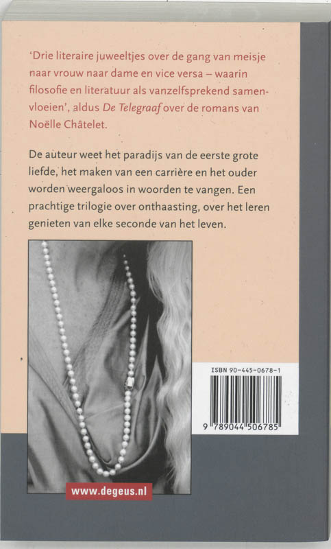 Achterkant van De dame in het blauw