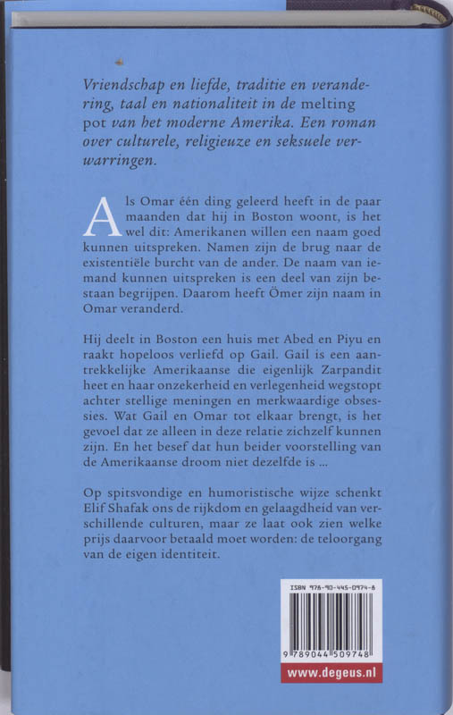 Achterkant van De heilige van de beginnende waanzin