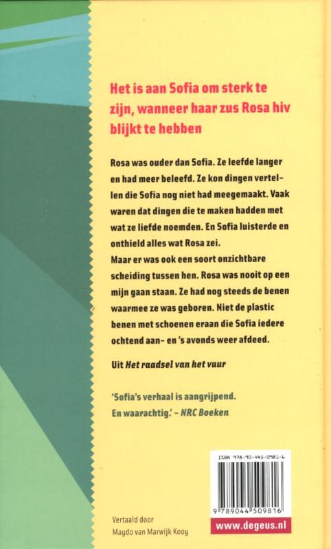 Achterkant van Het raadsel van het vuur