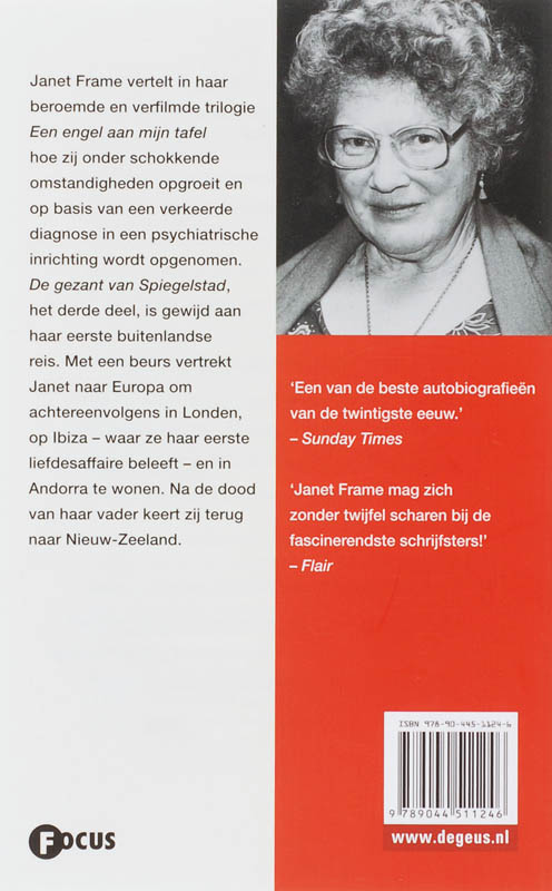 Achterkant van Deel 3: de gezant van Spiegelstad