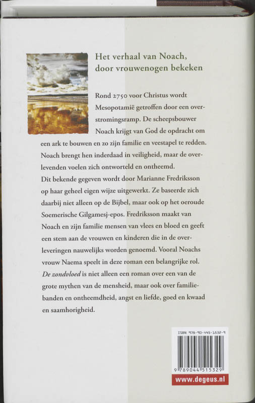 Achterkant van De zondvloed