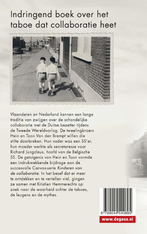 Achterkant van Het verdriet van Vlaanderen