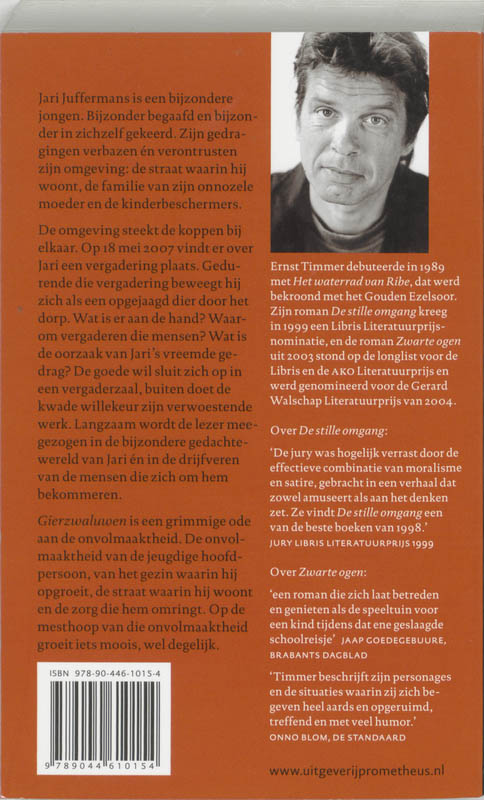 Achterkant van Gierzwaluwen van Jari J
