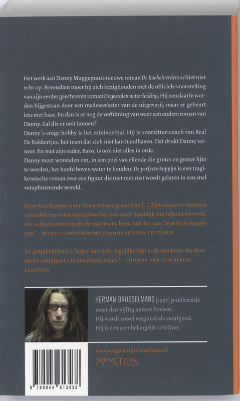 Achterkant van De perfecte koppijn