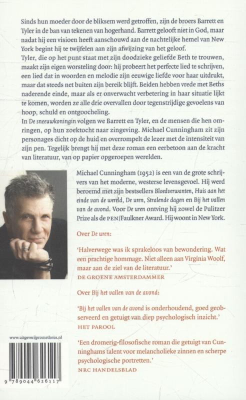 Achterkant van De sneeuwkoningin