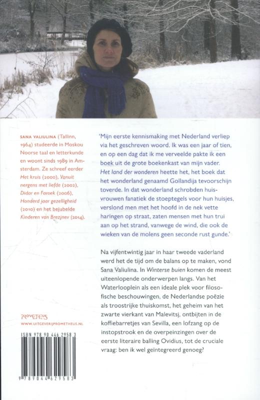 Achterkant van Winterse buien