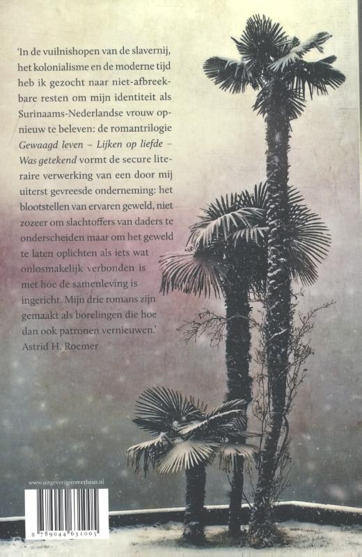 Achterkant van Onmogelijk moederland