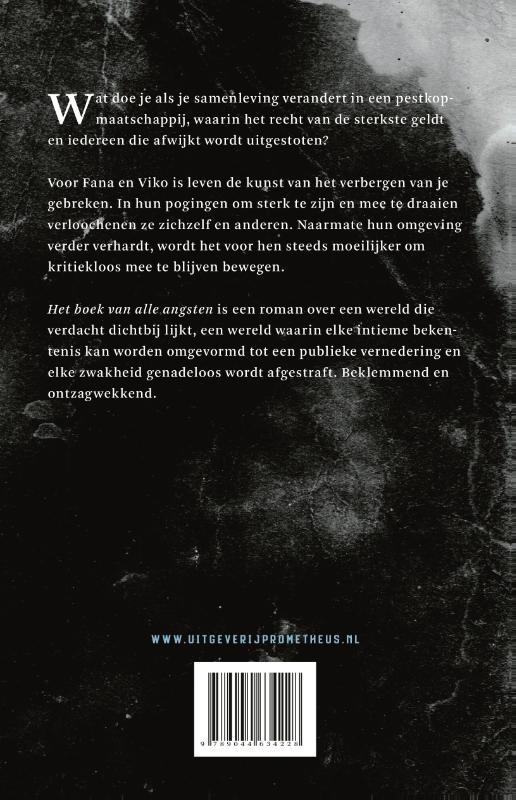 Achterkant van Het boek van alle angsten