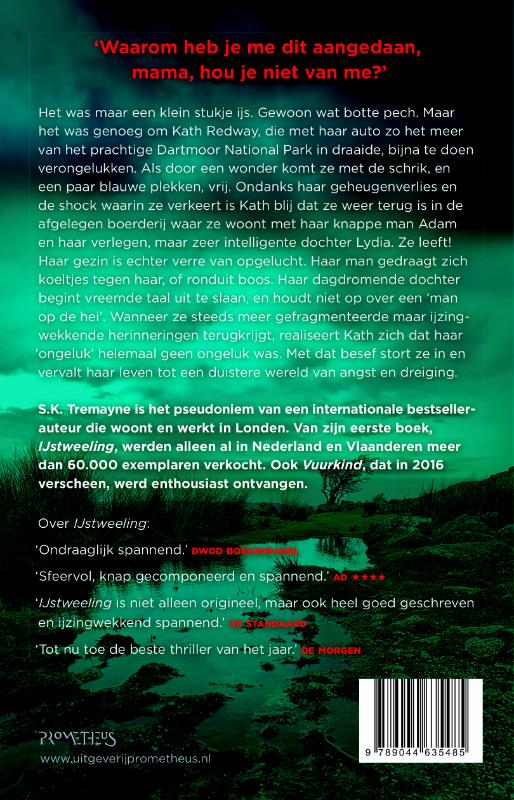 Achterkant van Vlak voordat ik stierf