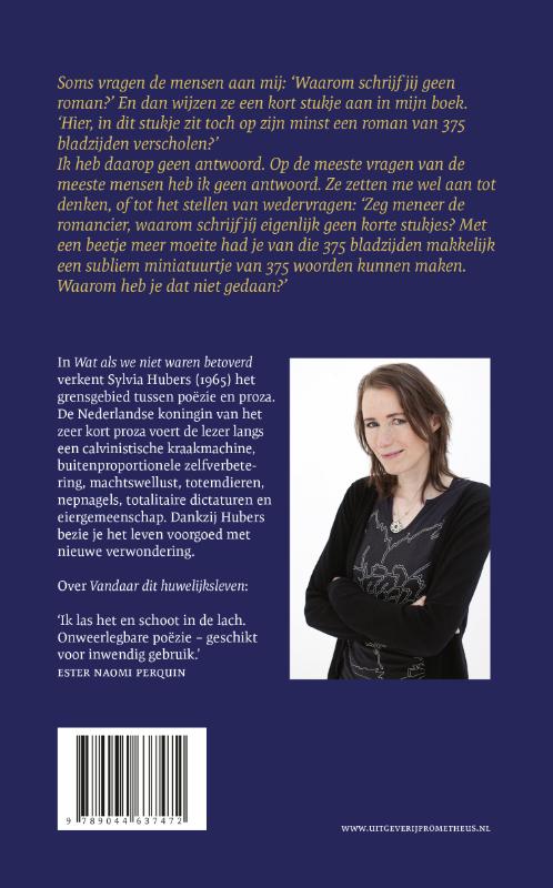 Achterkant van Wat als we niet waren betoverd