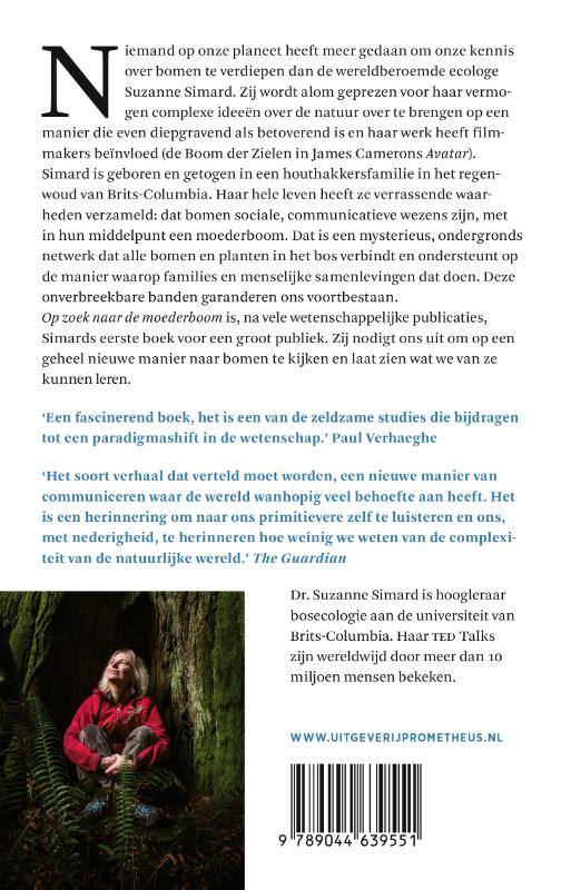 Achterkant van Op zoek naar de moederboom