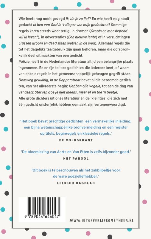 Achterkant van Domweg gelukkig, in de Dapperstraat