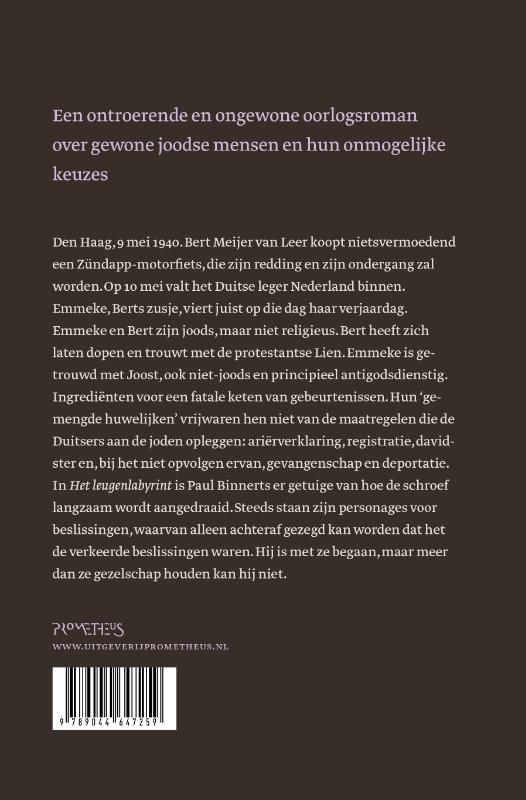 Achterkant van Het leugenlabyrint