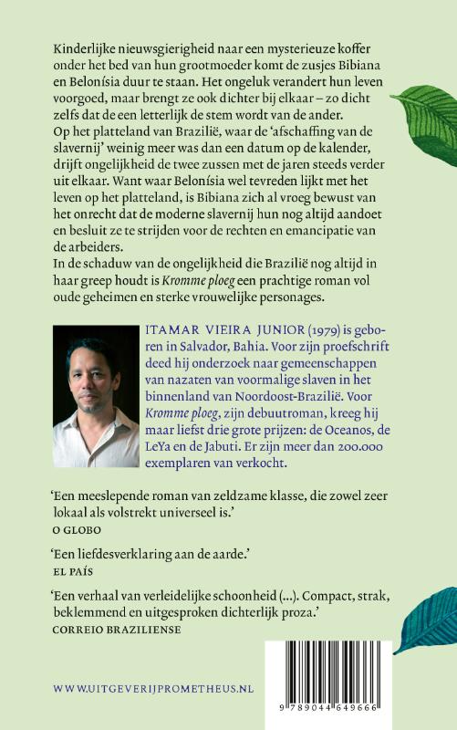Achterkant van Kromme ploeg
