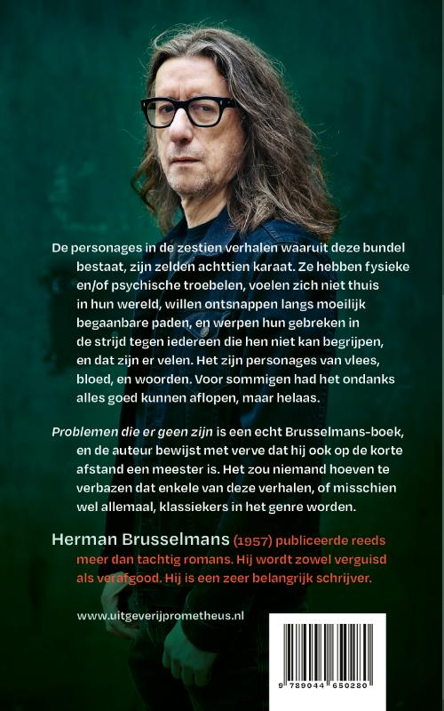 Achterkant van Problemen die er geen zijn