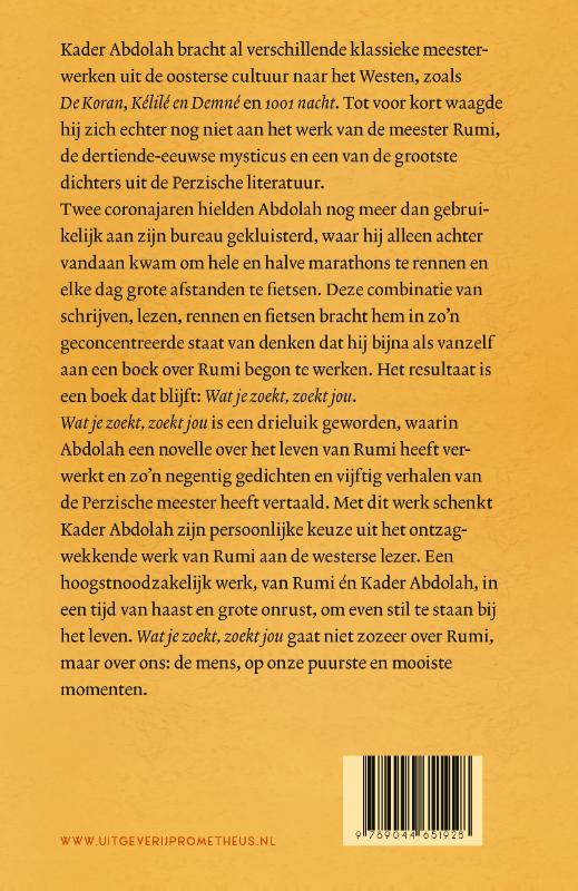Achterkant van Wat je zoekt, zoekt jou