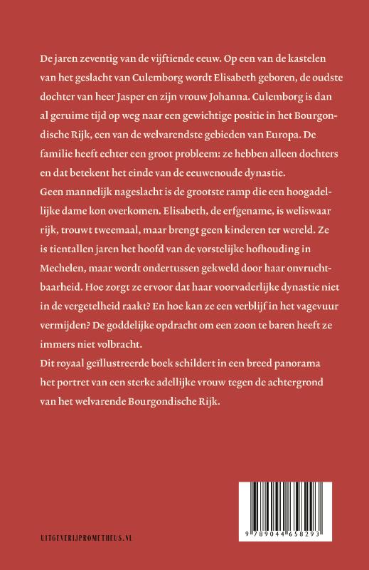 Achterkant van Het verdriet van Elisabeth van Culemborg