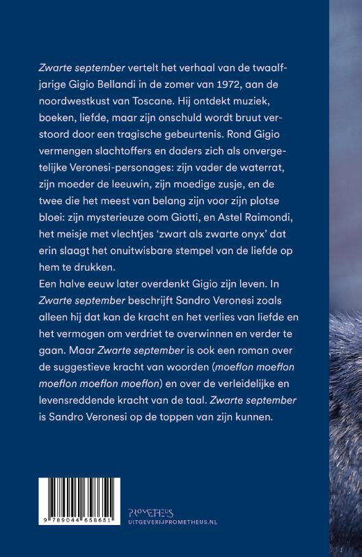 Achterkant van Zwarte september