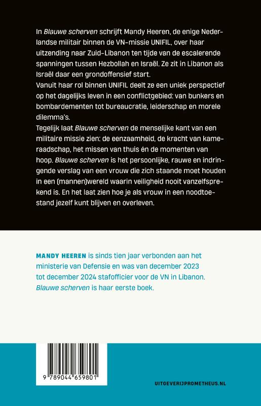 Achterkant van Blauwe scherven