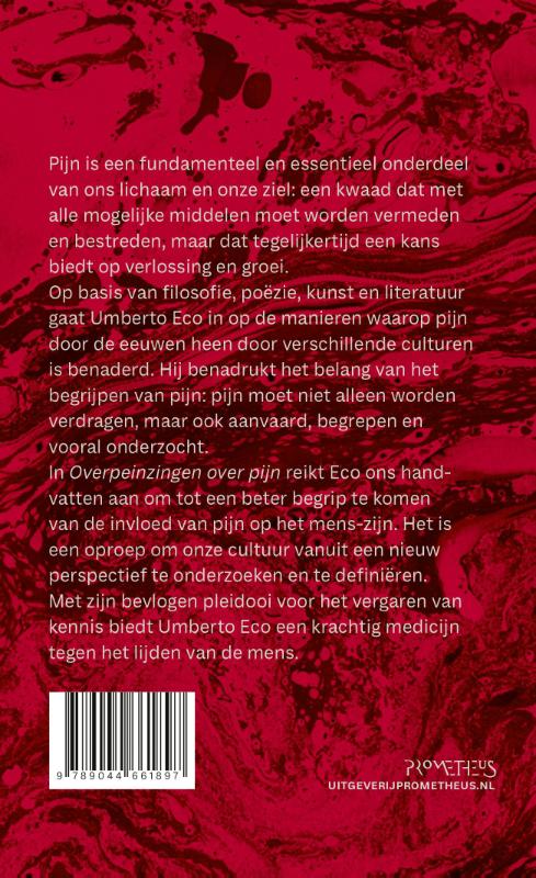 Achterkant van Overpeinzingen over pijn