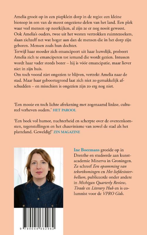 Achterkant van Een grillig soort grind