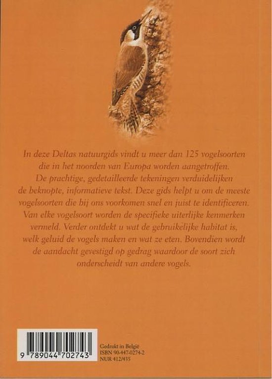 Achterkant van Vogels
