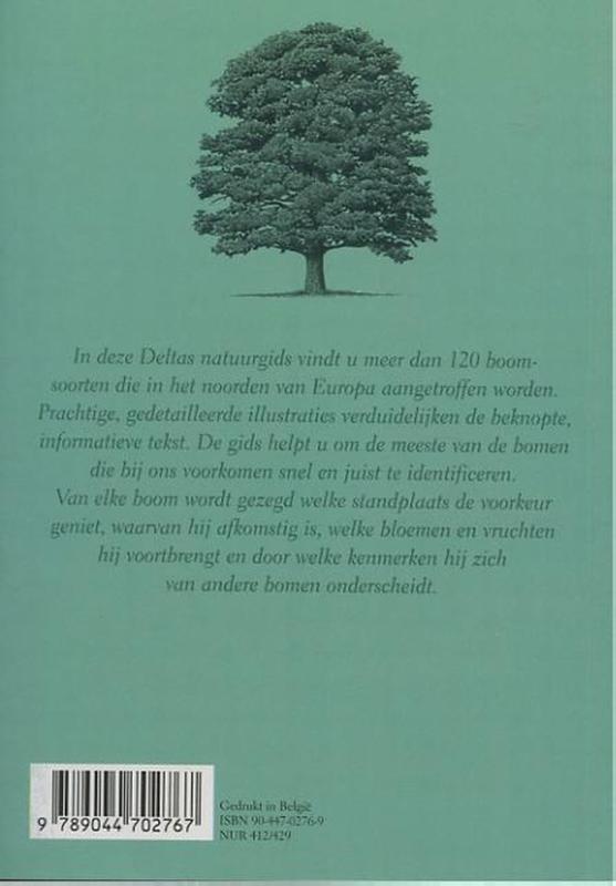 Achterkant van Bomen