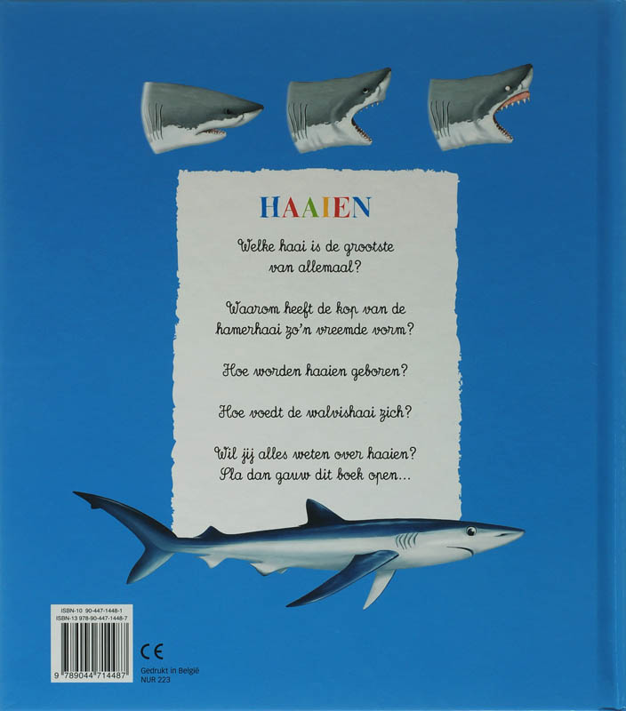 Achterkant van Haaien