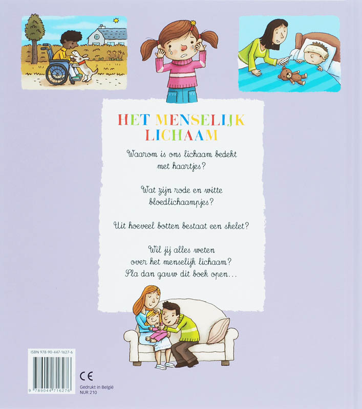 Achterkant van Het menselijk lichaam