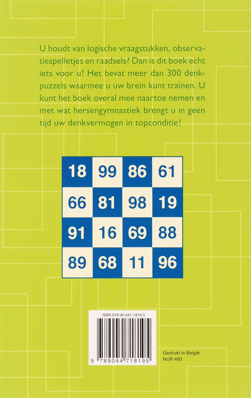 Achterkant van Deltas iq-puzzel festival