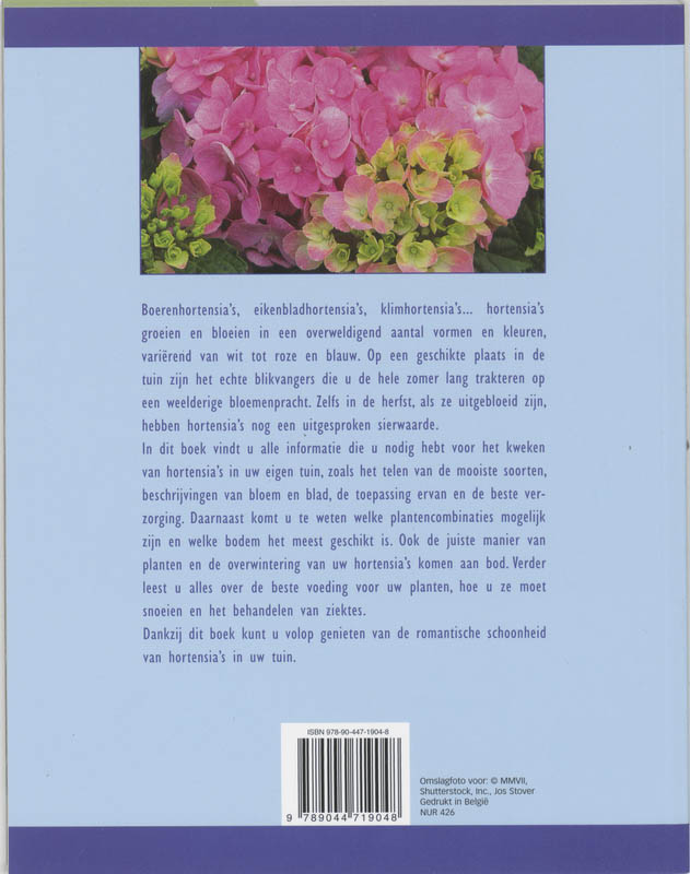 Achterkant van Weelderige Hortensia´s