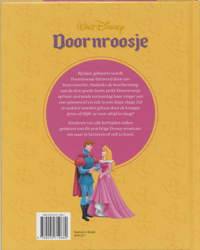 Achterkant van Doornroosje