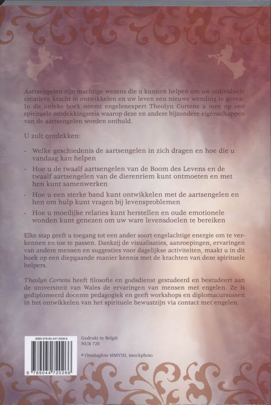 Achterkant van De hemelse kracht van de aartsengelen
