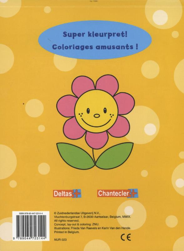 Achterkant van 3-4 jaar