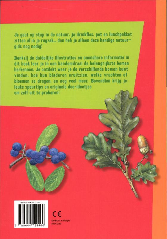 Achterkant van Bomen herkennen